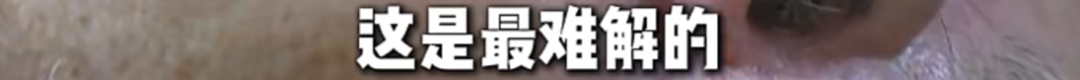 克拉克加公开赛穿球衣遭嘘仍抓鸟